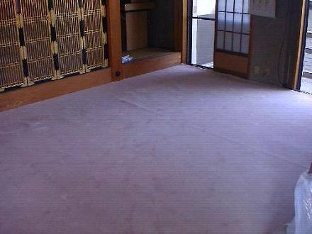 CREATOR: gd-jpeg v1.0 (using IJG JPEG v62), default quality